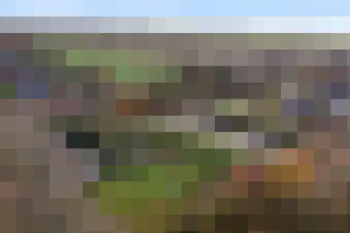 Poortmanswijk 2 Alteveer thumbnail 42