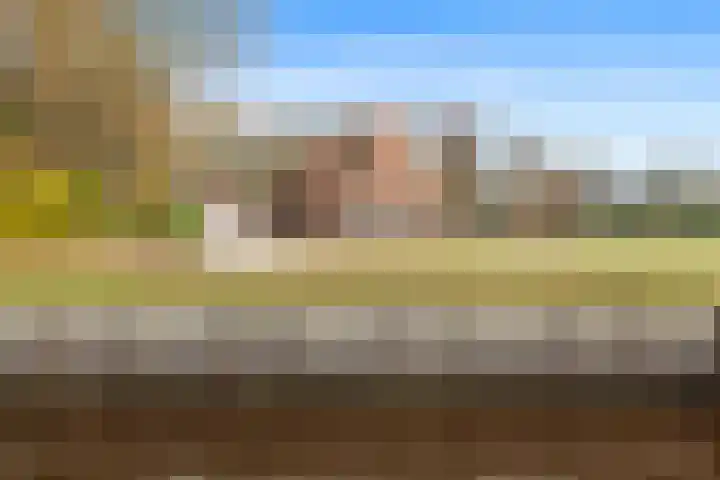 Poortmanswijk 2 Alteveer thumbnail 43