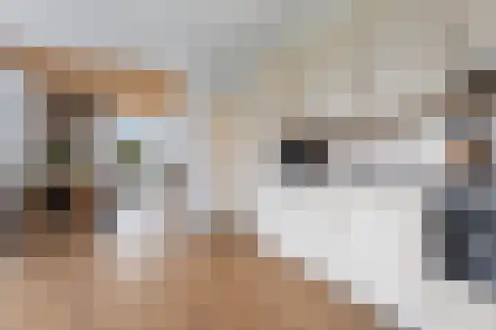 Poortmanswijk 2 Alteveer thumbnail 7