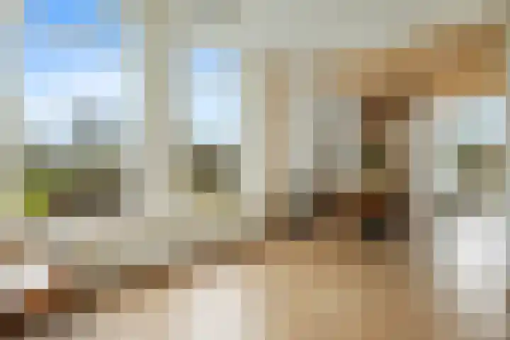 Poortmanswijk 2 Alteveer thumbnail 9