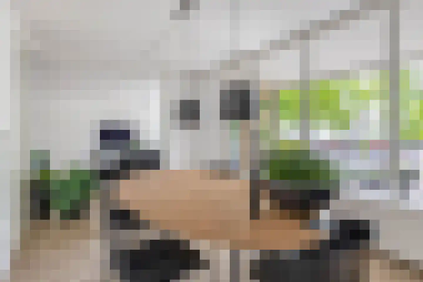 Poortmolen 100 Capelle aan den IJssel thumbnail 18