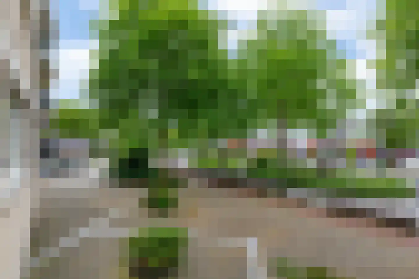 Poortmolen 100 Capelle aan den IJssel thumbnail 29