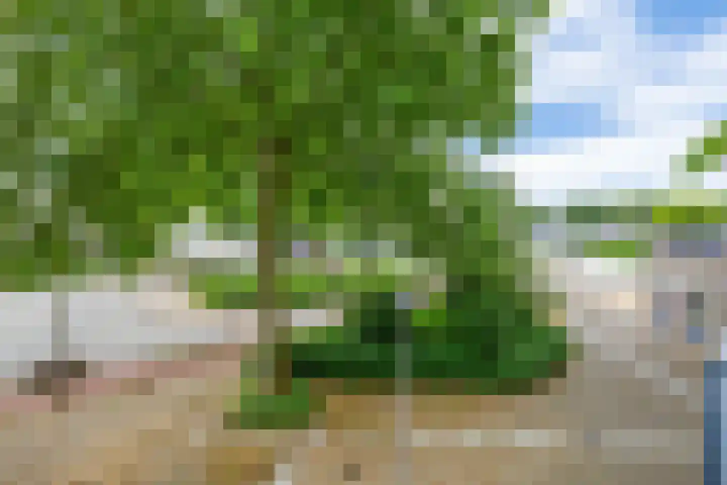 Poortmolen 100 Capelle aan den IJssel thumbnail 33