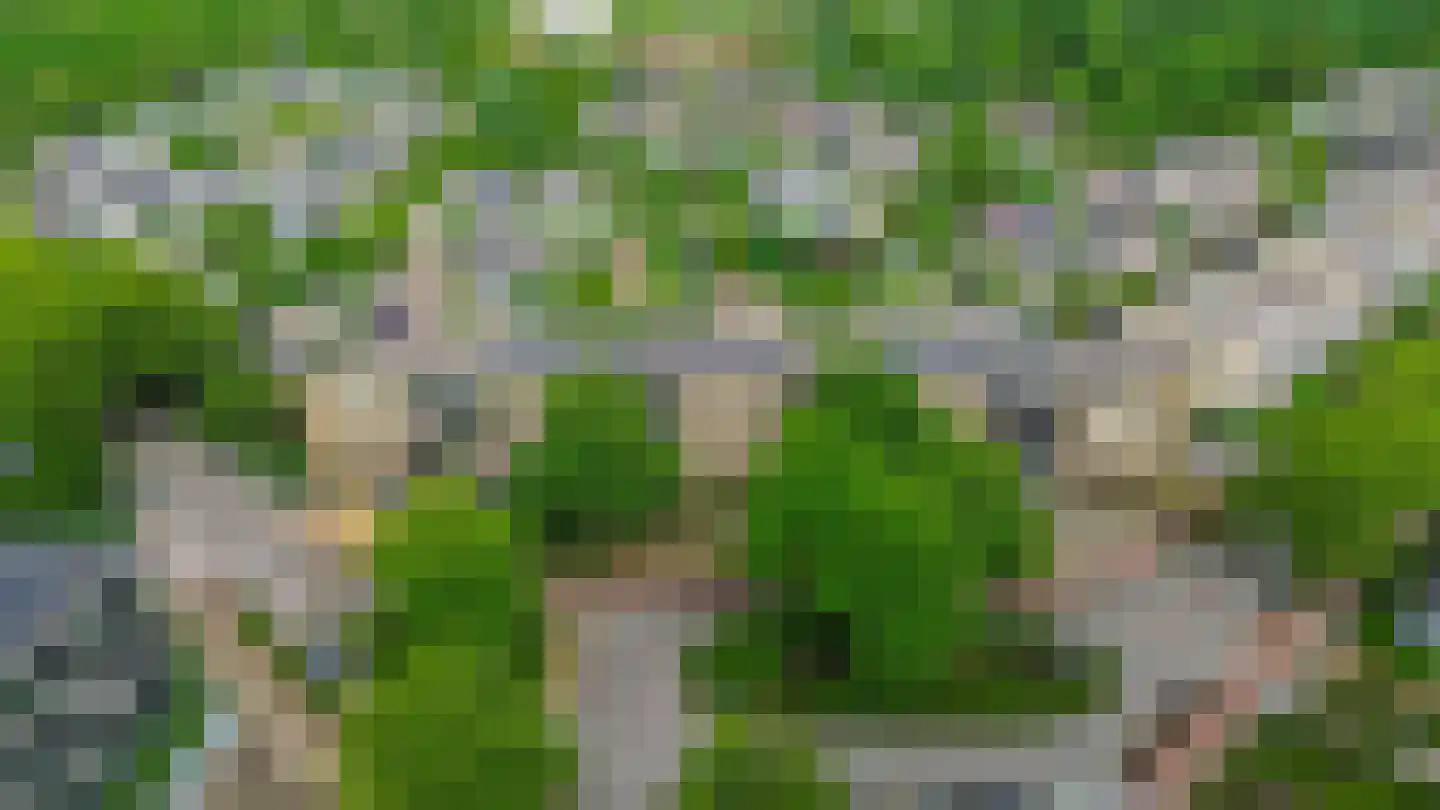 Poortmolen 100 Capelle aan den IJssel thumbnail 4