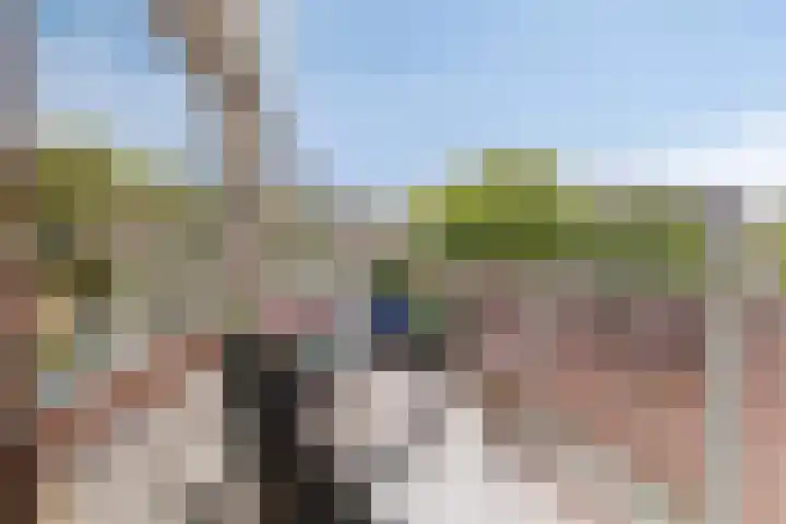Poortmolen 18 Capelle aan den IJssel thumbnail 20