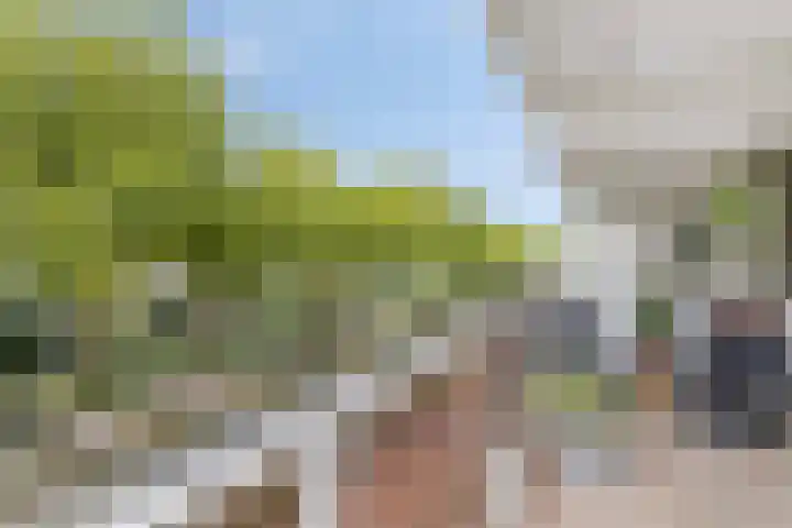 Poortmolen 18 Capelle aan den IJssel thumbnail 23