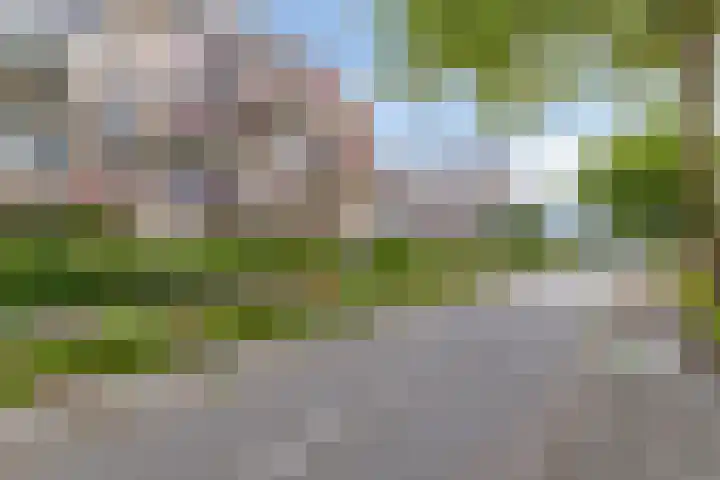 Poortmolen 18 Capelle aan den IJssel thumbnail 43