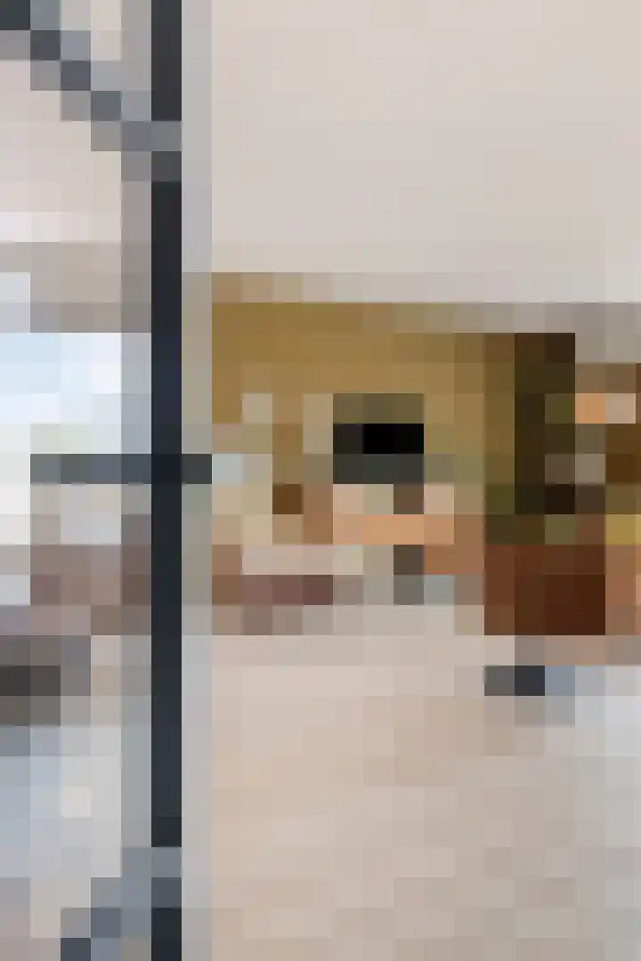 Poortmolen 18 Capelle aan den IJssel thumbnail 6