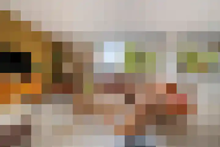 Poortmolen 18 Capelle aan den IJssel thumbnail 9