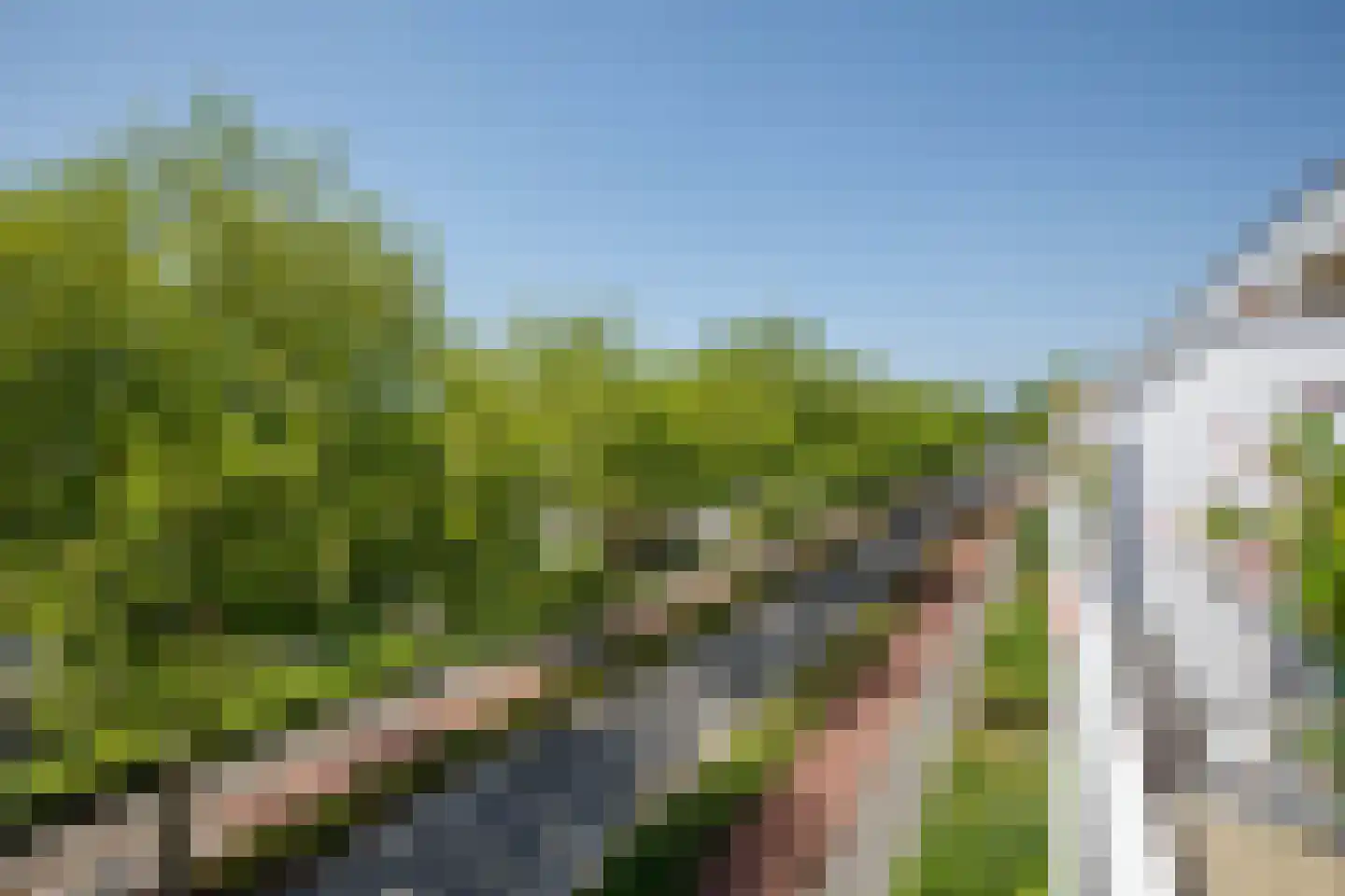 Poortmolen 22 Capelle aan den IJssel thumbnail 22