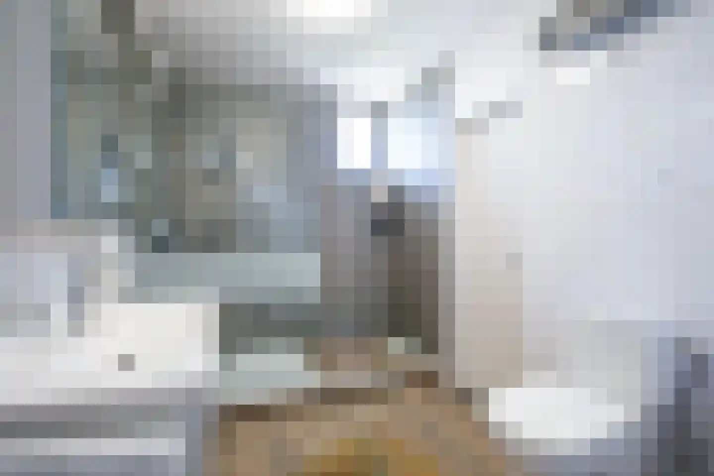 Poortmolen 22 Capelle aan den IJssel thumbnail 26