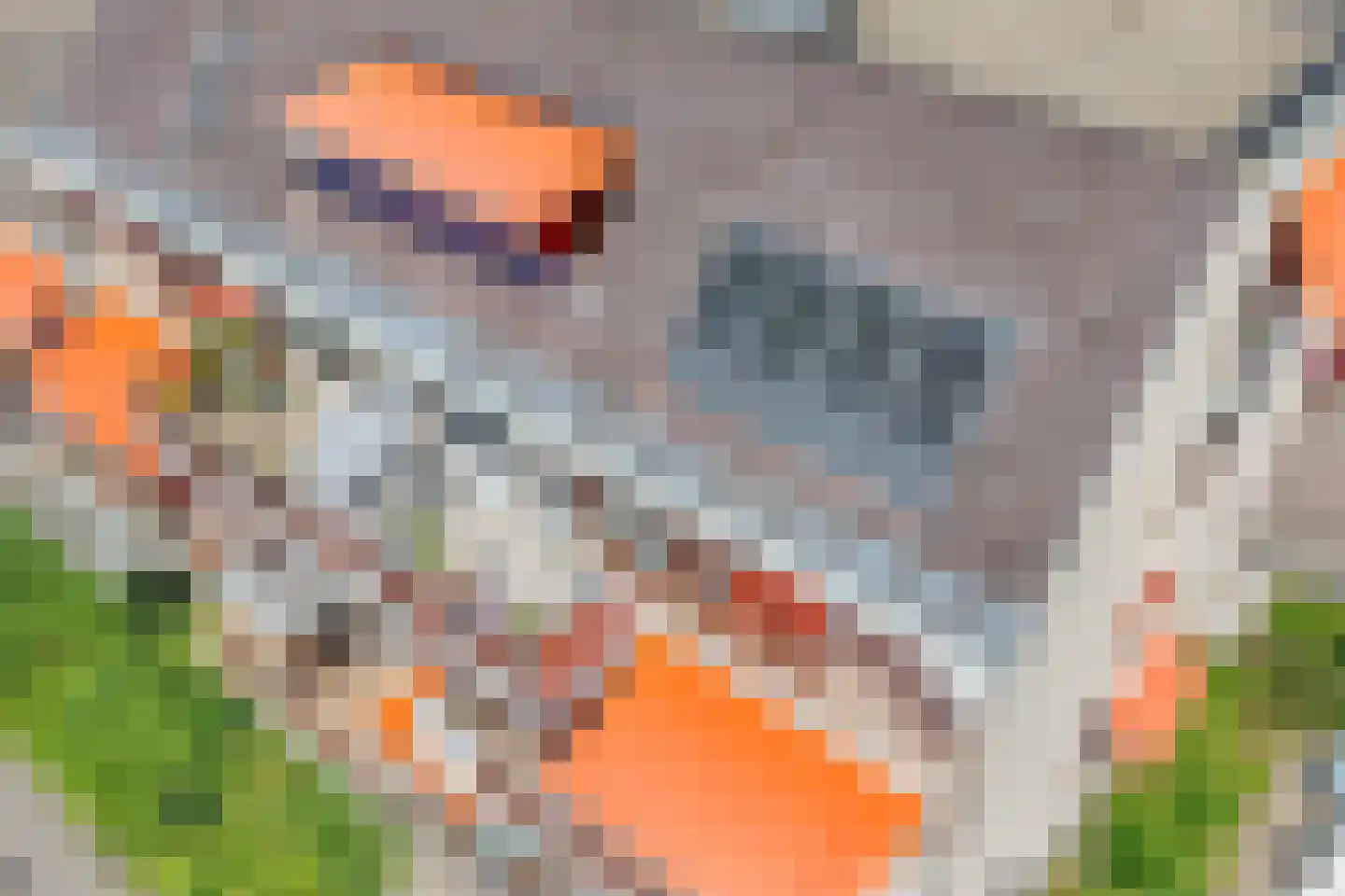 Poortmolen 22 Capelle aan den IJssel thumbnail 39
