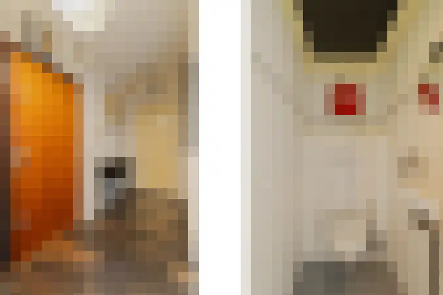 Poortmolen 34 Capelle aan den IJssel thumbnail 11