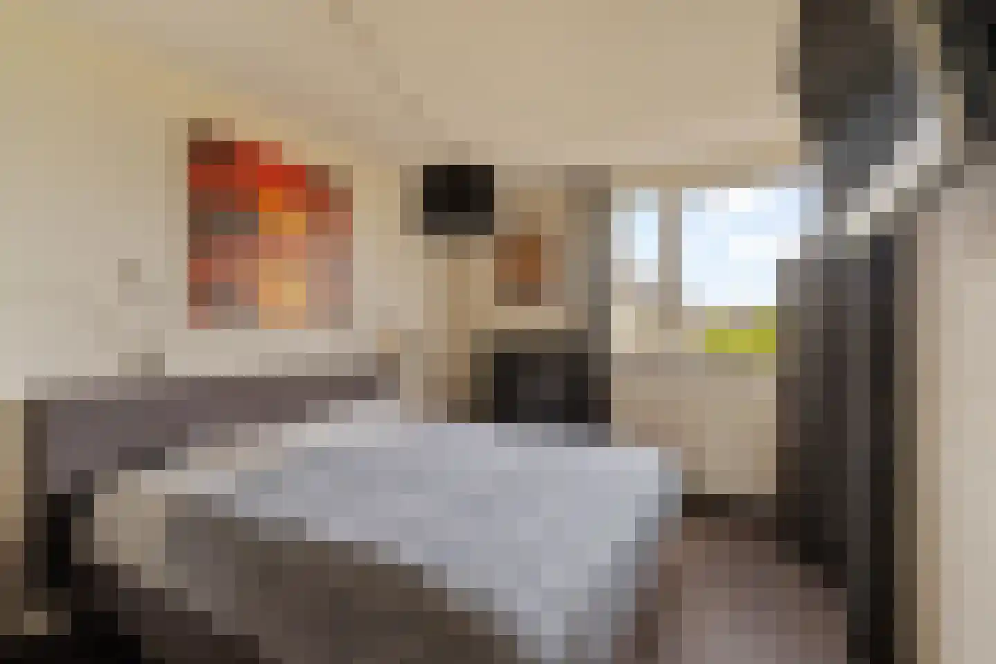 Poortmolen 34 Capelle aan den IJssel thumbnail 12