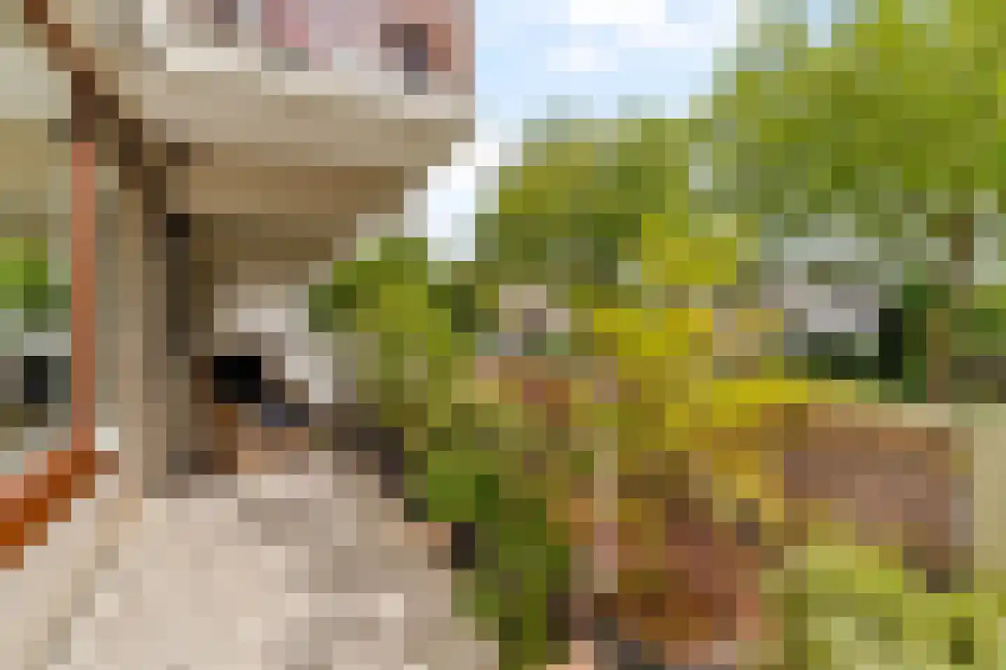 Poortmolen 34 Capelle aan den IJssel thumbnail 4