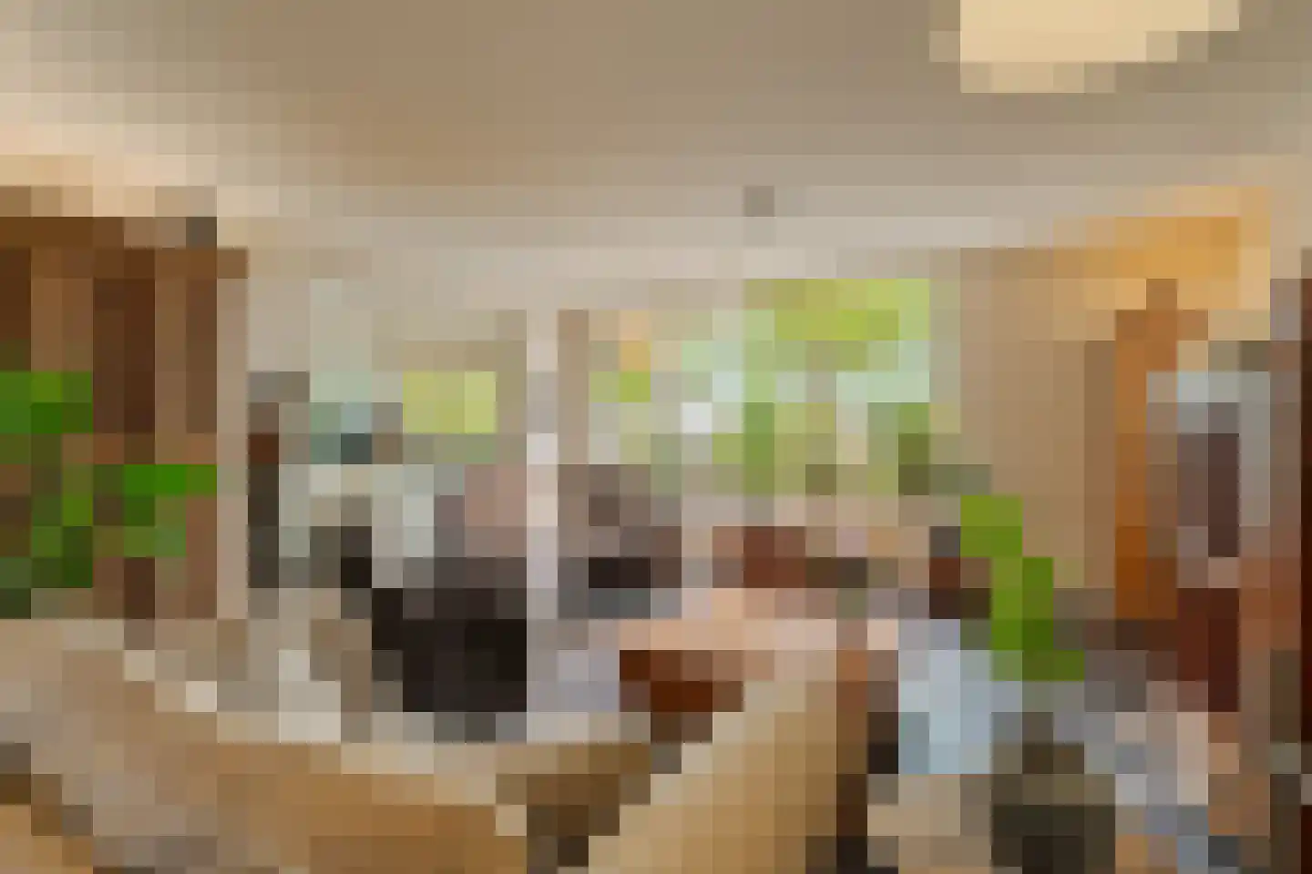 Poortmolen 34 Capelle aan den IJssel thumbnail 5