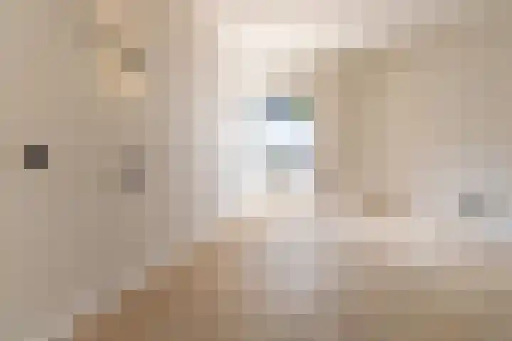 Poortmolen 88 Capelle aan den IJssel thumbnail 17