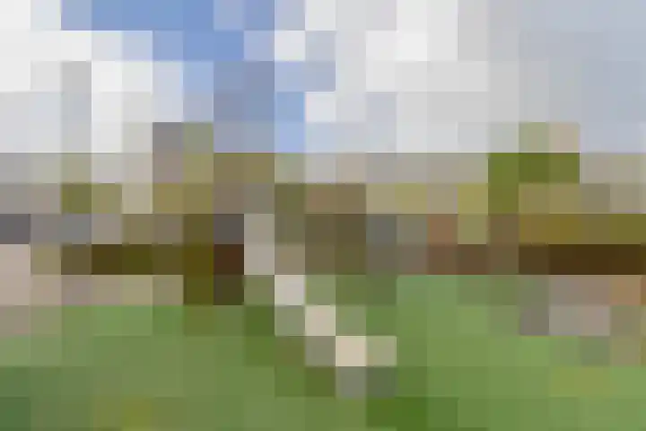 Poortmolen 88 Capelle aan den IJssel thumbnail 22
