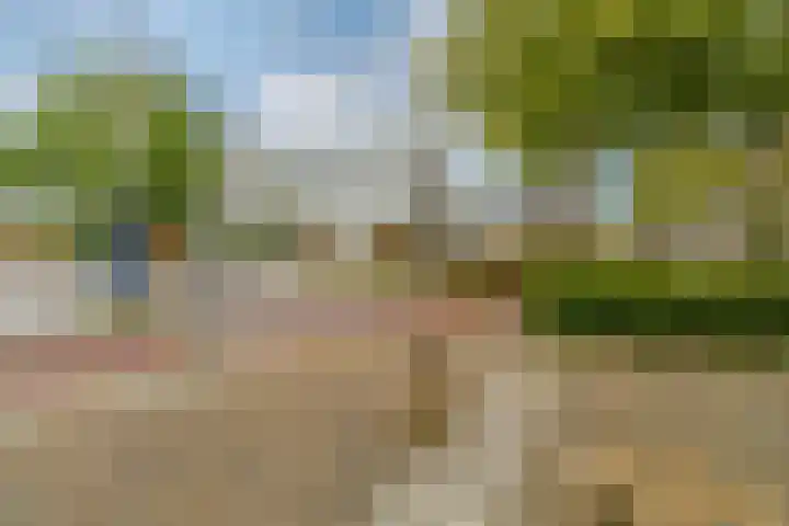 Poortmolen 88 Capelle aan den IJssel thumbnail 25