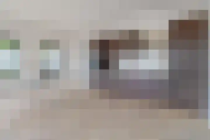 Poortmolen 88 Capelle aan den IJssel thumbnail 5