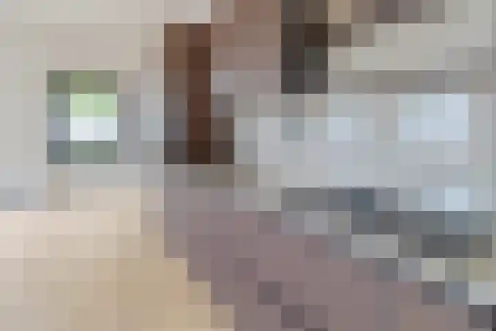Poortmolen 88 Capelle aan den IJssel thumbnail 7