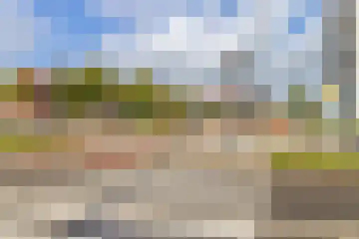 Poortmolen 90 Capelle aan den IJssel thumbnail 19