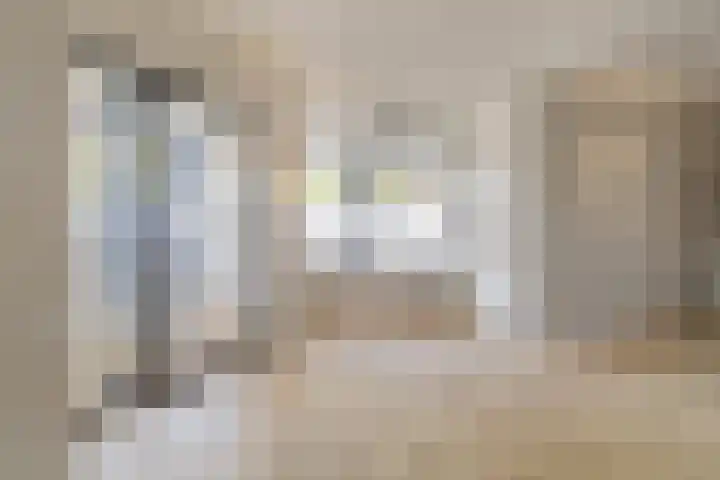 Poortmolen 90 Capelle aan den IJssel thumbnail 9