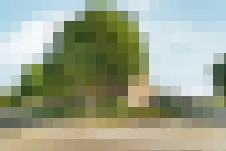 Poortmolenstraat 20 Almere thumbnail 8