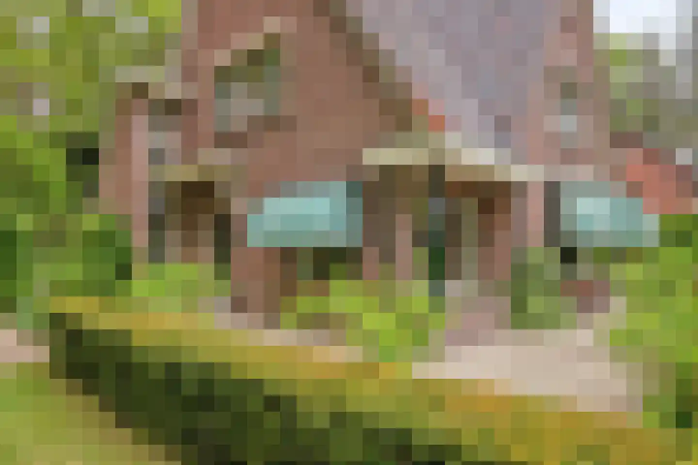 Poortse Bos 14 Maarn thumbnail 30