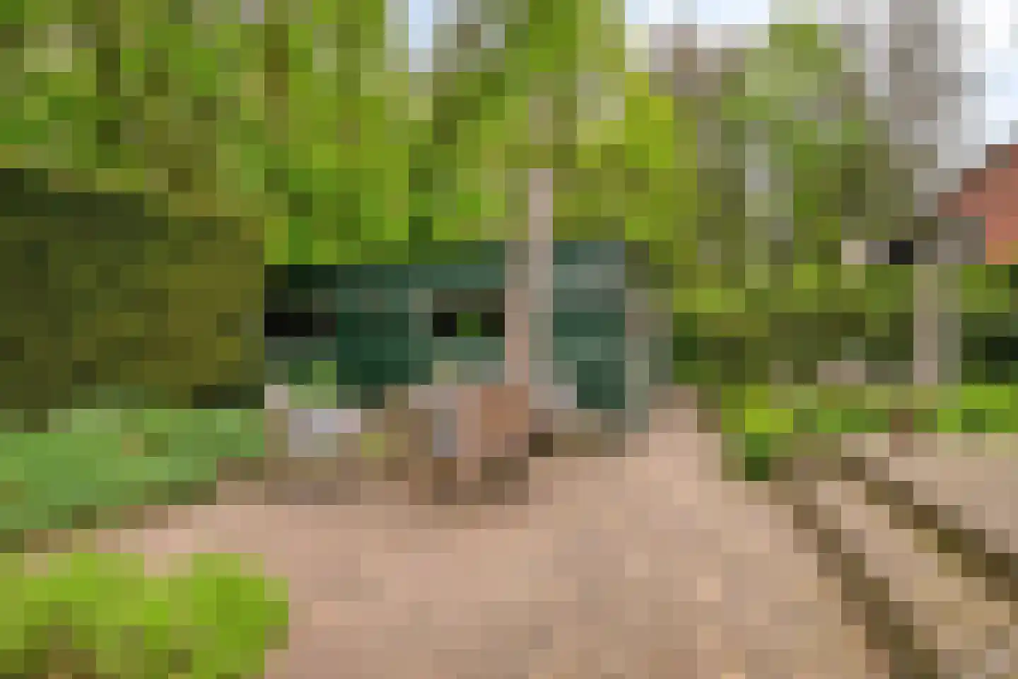 Poortse Bos 14 Maarn thumbnail 31
