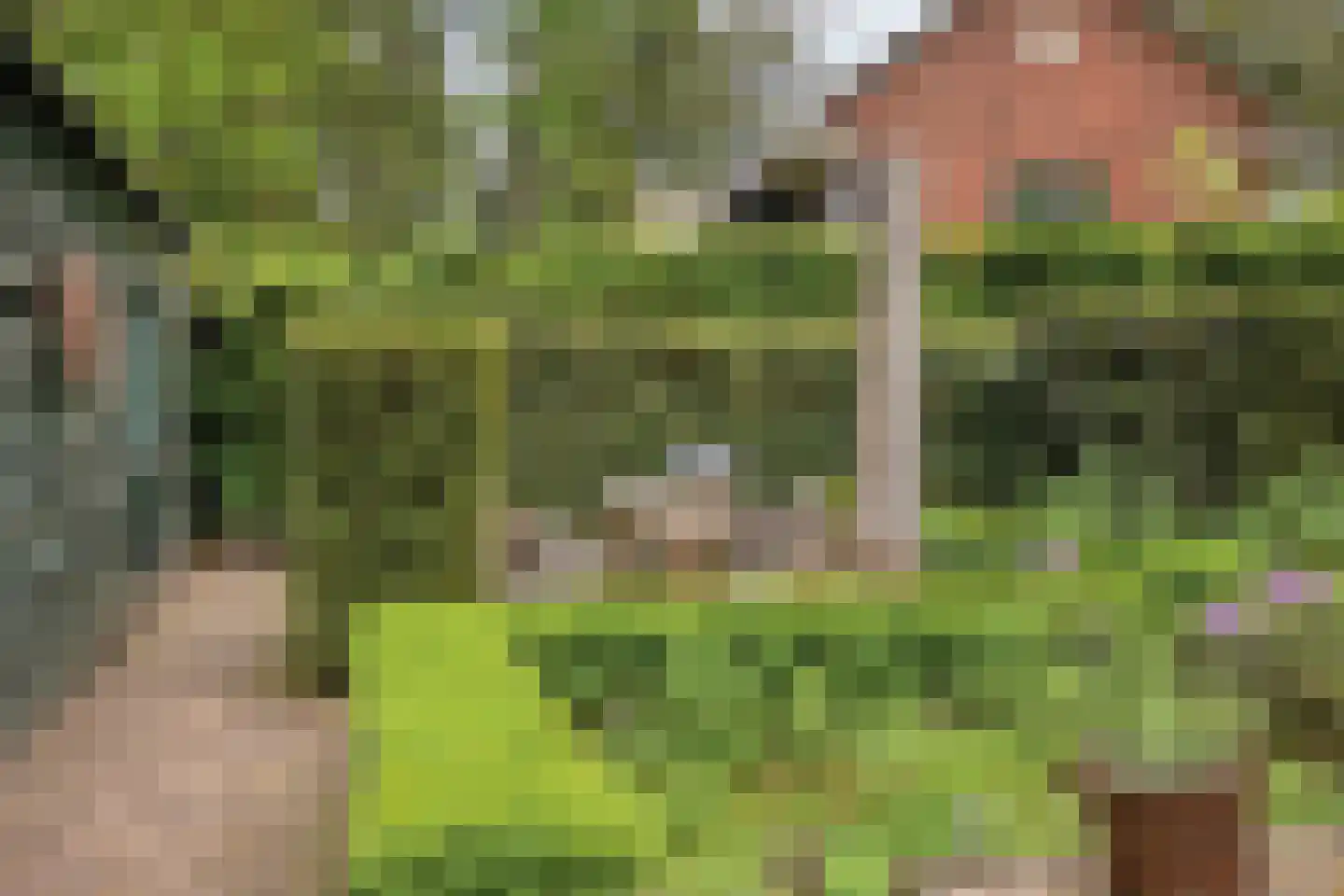 Poortse Bos 14 Maarn thumbnail 32