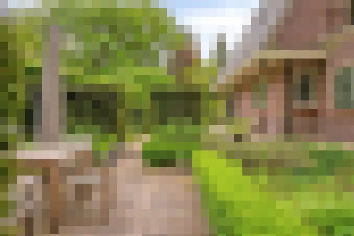 Poortse Bos 14 Maarn thumbnail 34