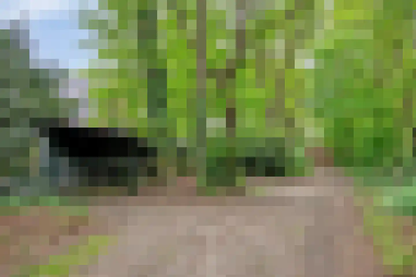 Poortse Bos 14 Maarn thumbnail 36