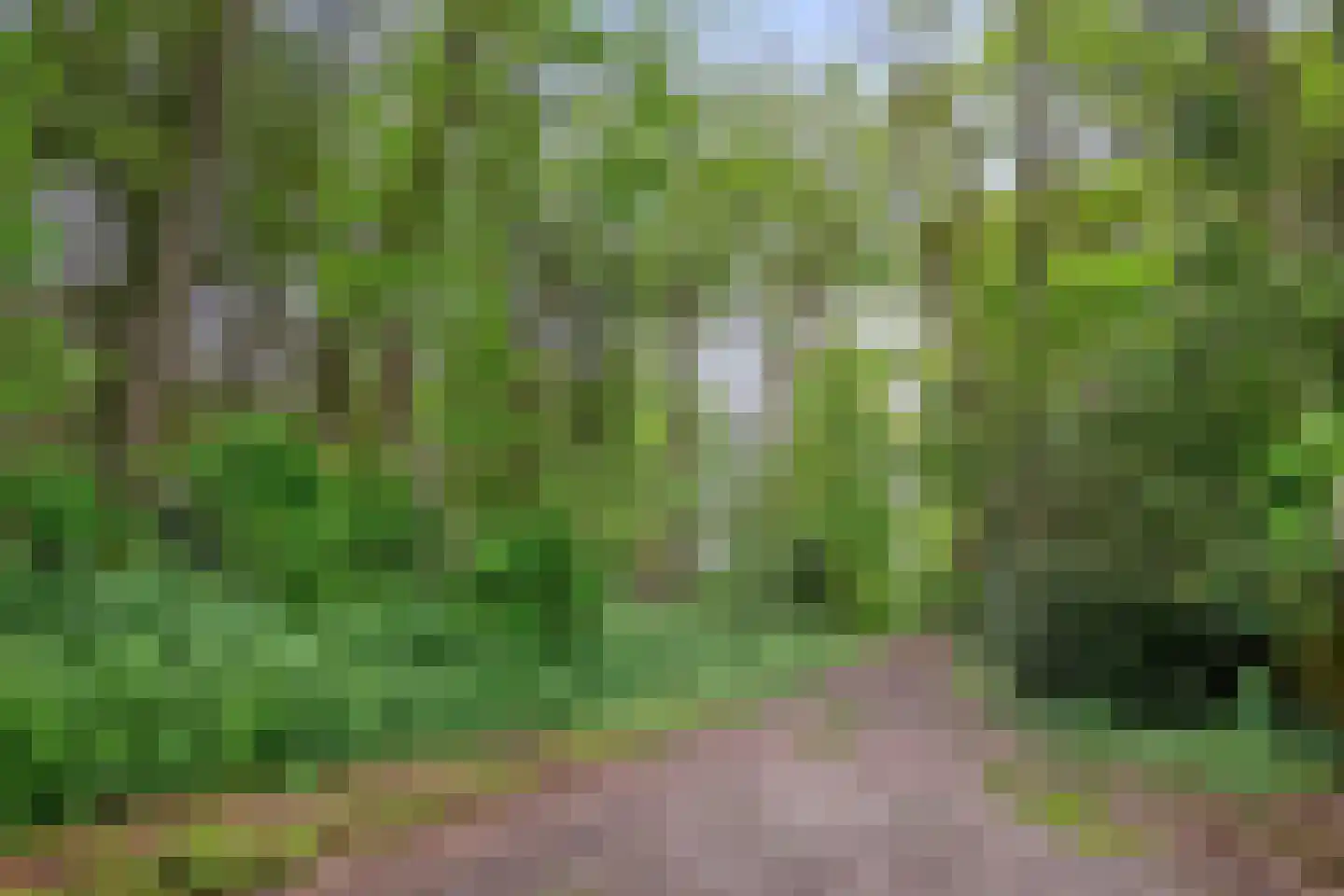 Poortse Bos 14 Maarn thumbnail 38