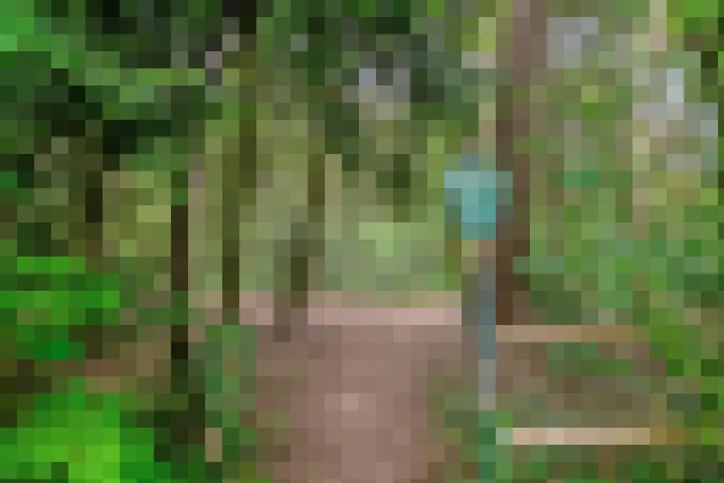 Poortse Bos 14 Maarn thumbnail 39