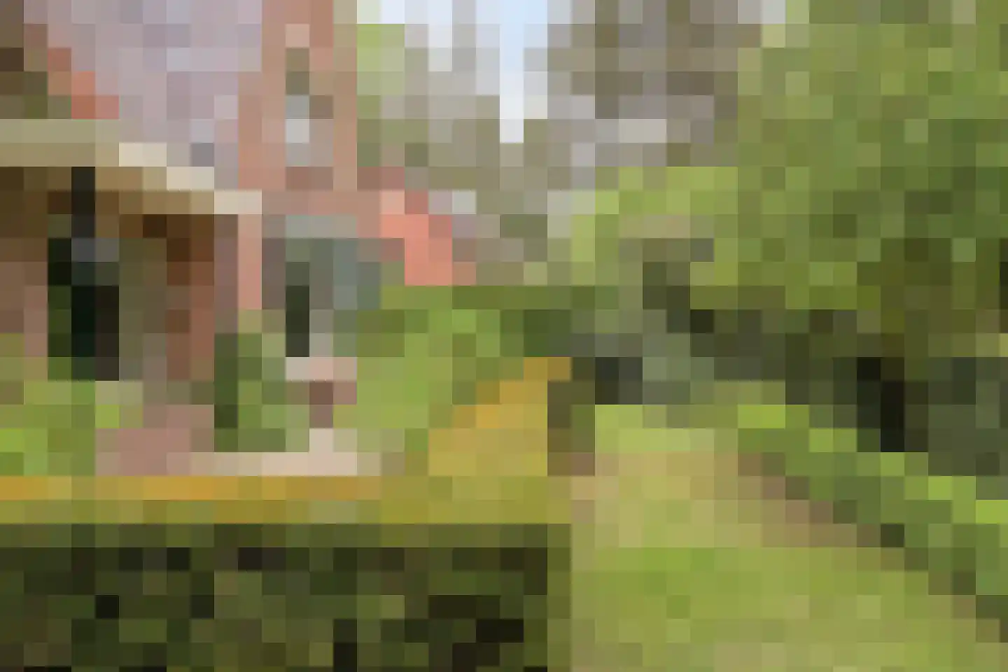 Poortse Bos 14 Maarn thumbnail 6