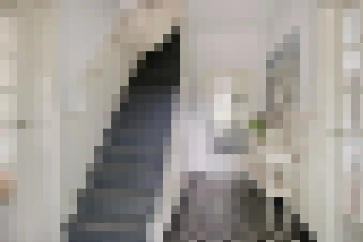 Poortse Bos 14 Maarn thumbnail 8
