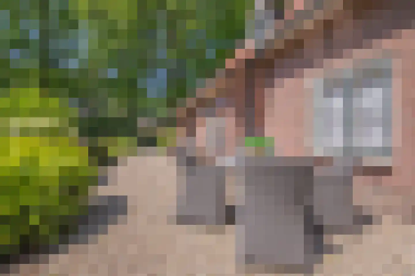Poortse Bos 4 Maarn thumbnail 28