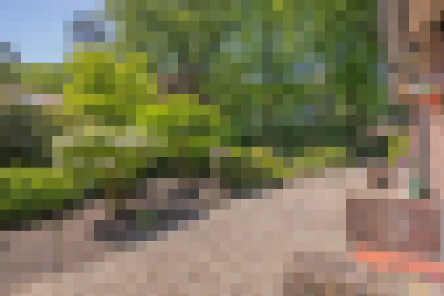 Poortse Bos 4 Maarn thumbnail 29