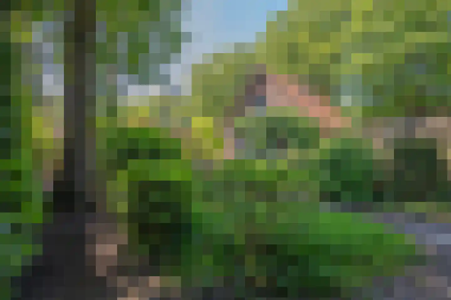 Poortse Bos 4 Maarn thumbnail 30