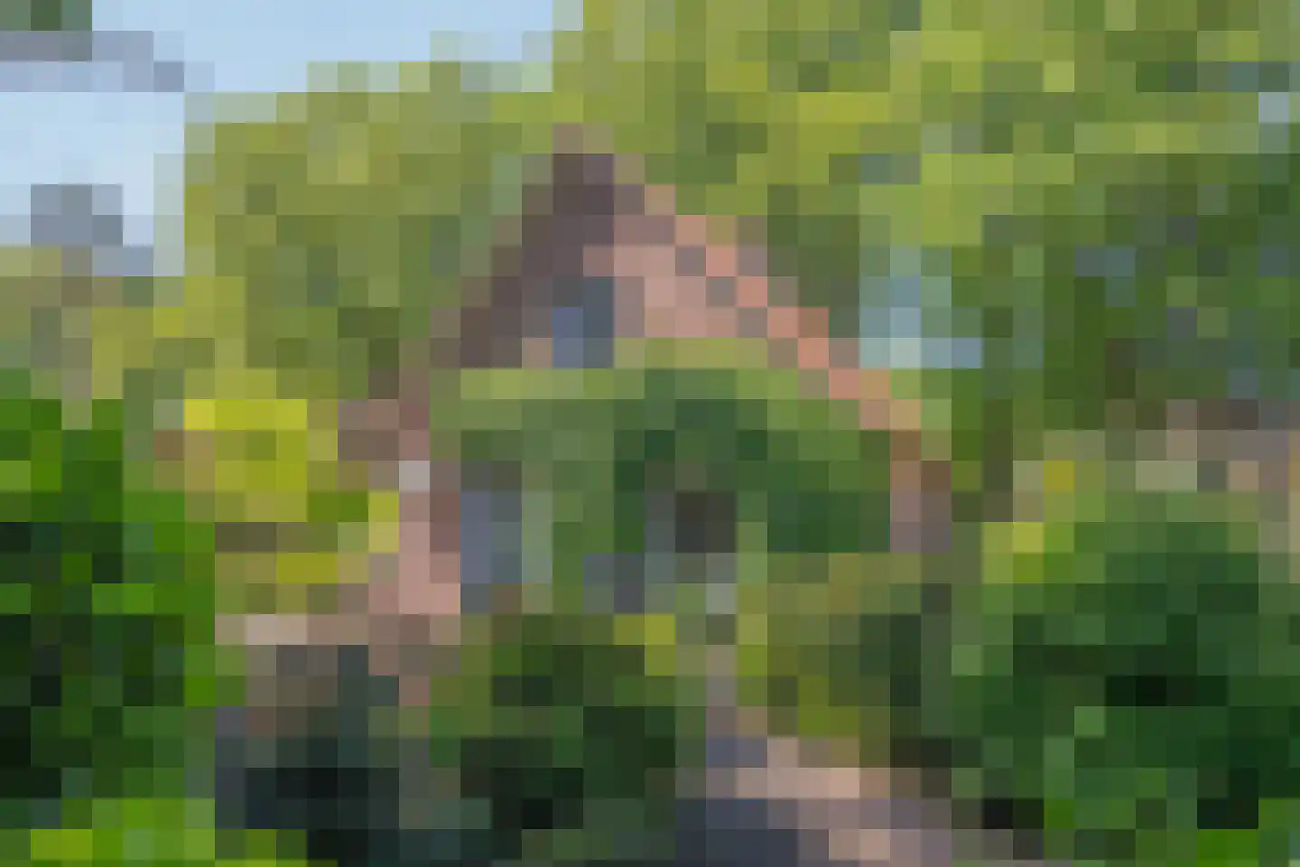 Poortse Bos 4 Maarn thumbnail 31