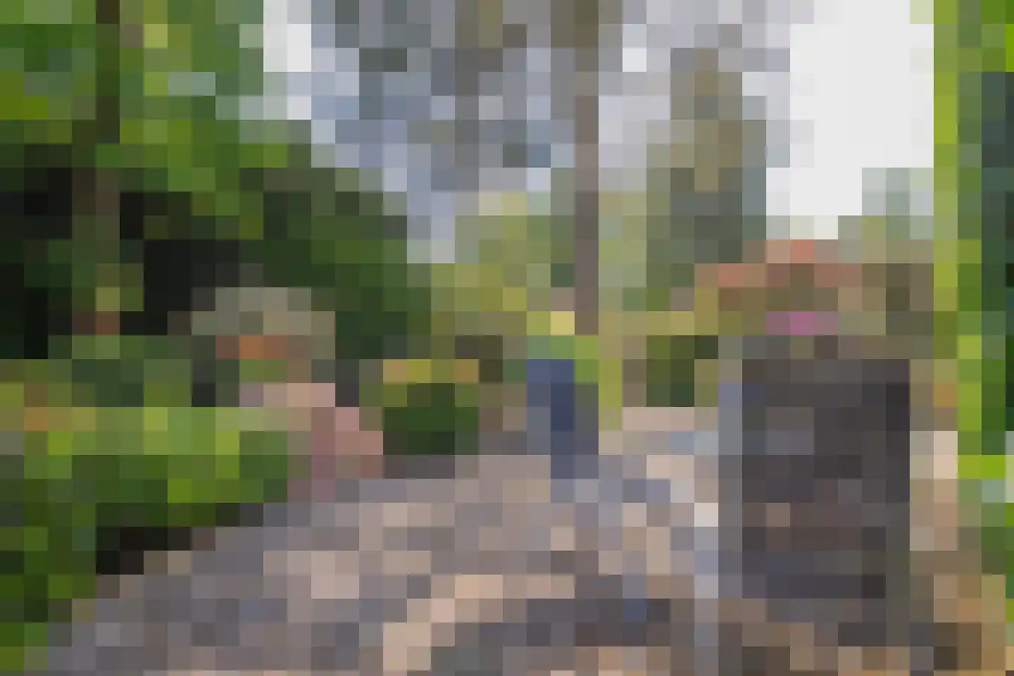 Poortse Bos 4 Maarn thumbnail 33