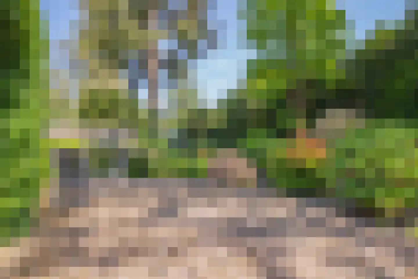 Poortse Bos 4 Maarn thumbnail 34