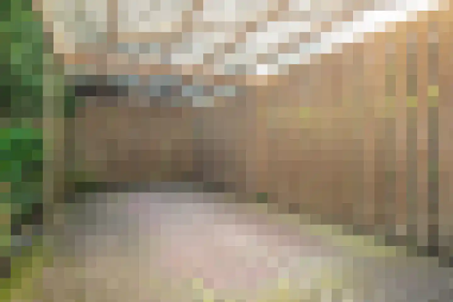 Poortse Bos 4 Maarn thumbnail 36