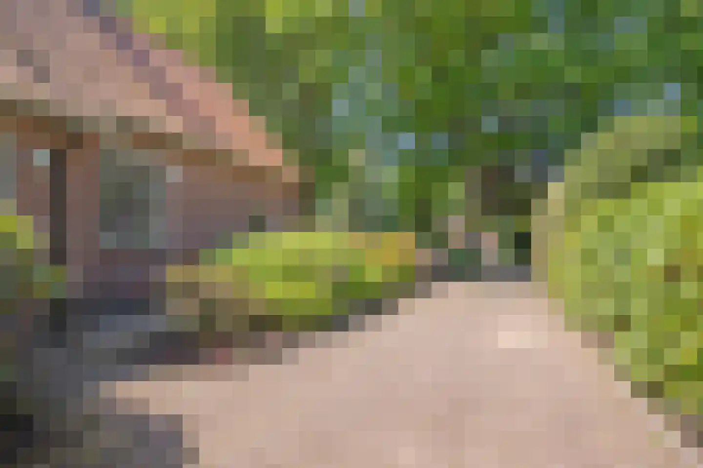 Poortse Bos 4 Maarn thumbnail 37