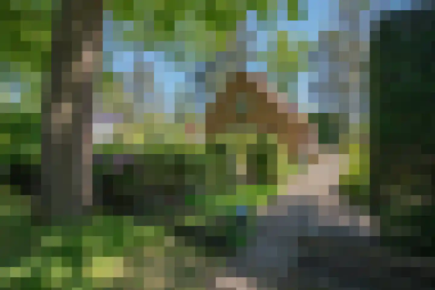 Poortse Bos 4 Maarn thumbnail 38