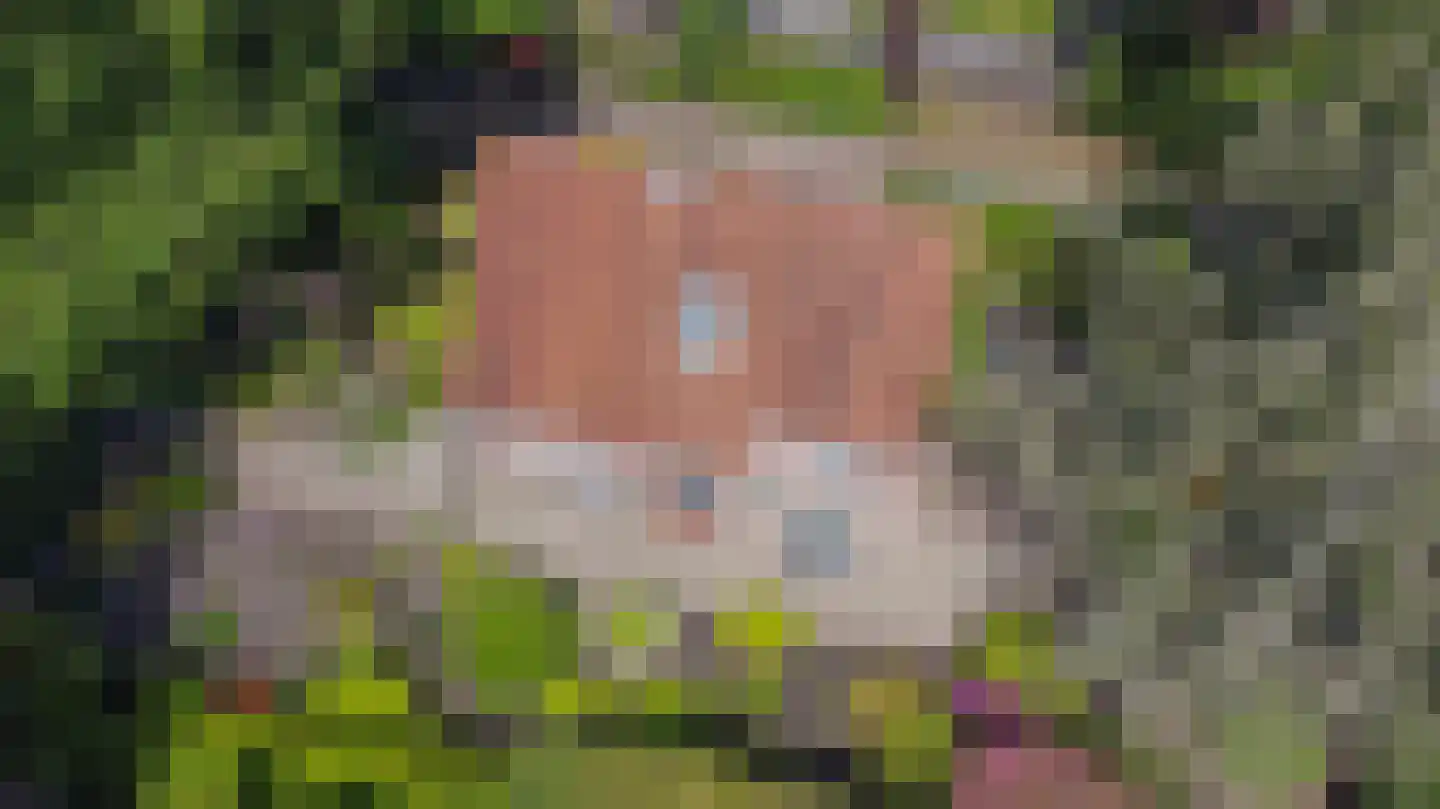 Poortse Bos 4 Maarn thumbnail 39