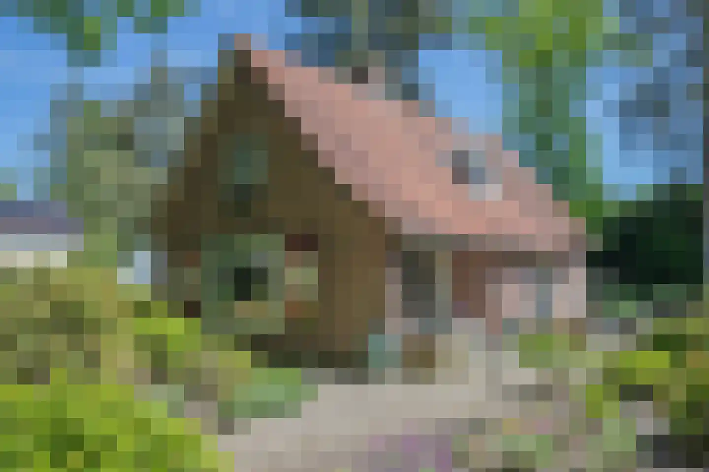 Poortse Bos 4 Maarn thumbnail 4