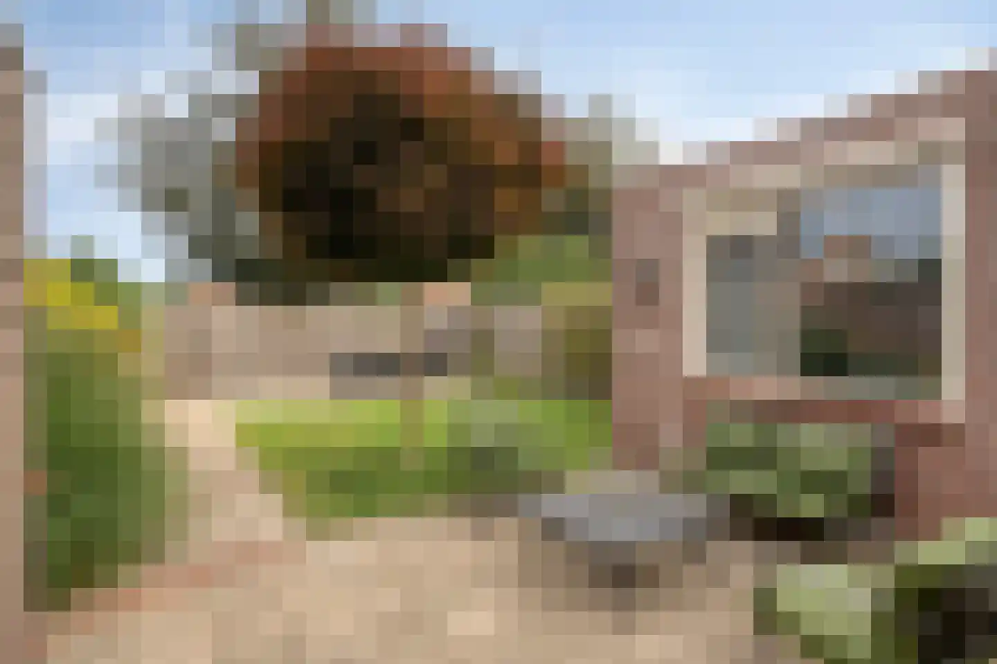 Poortstraat 13 Serooskerke thumbnail 17