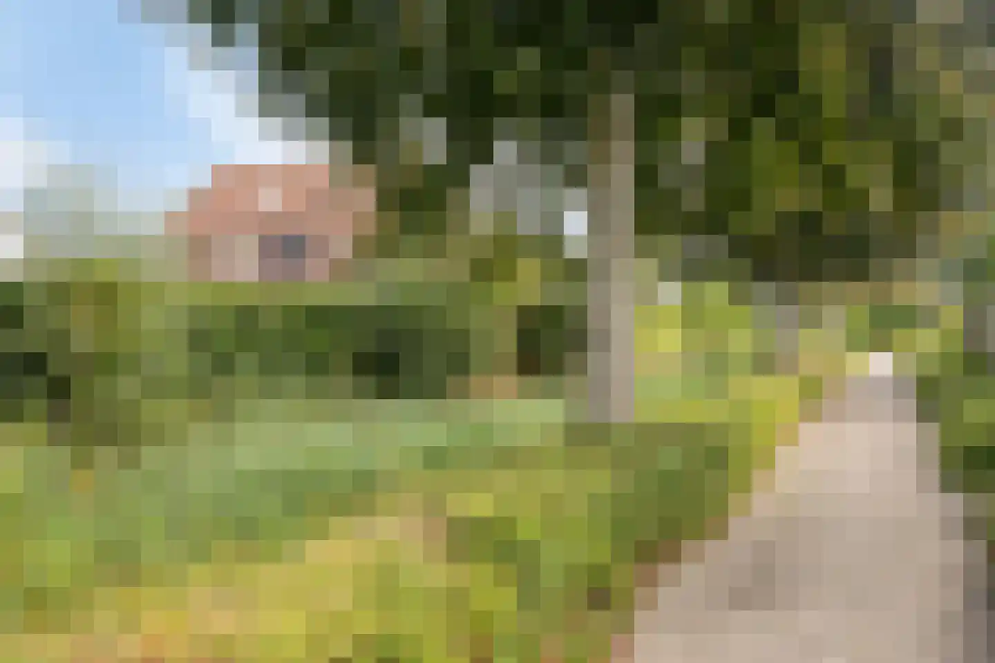 Poortstraat 13 Serooskerke thumbnail 25